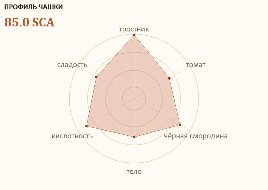 Профиль чашки