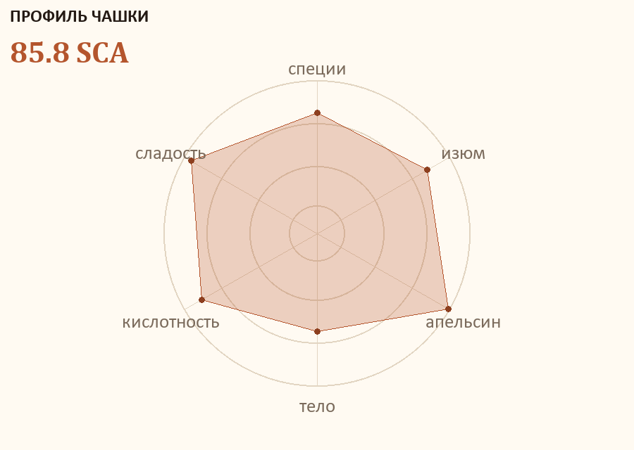 Профиль чашки