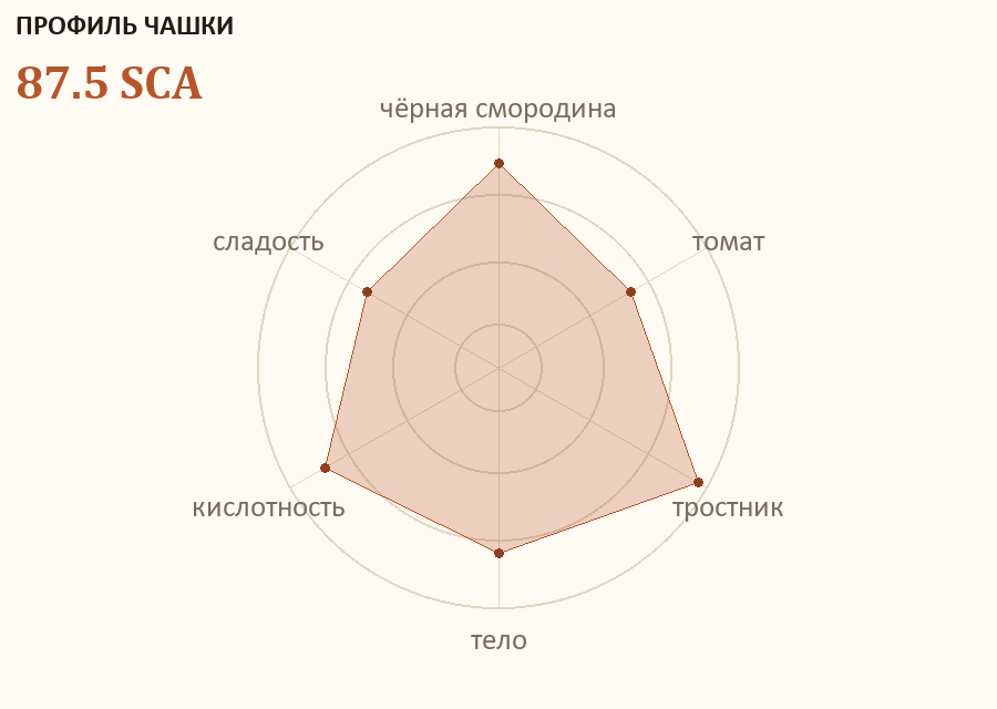 Профиль чашки