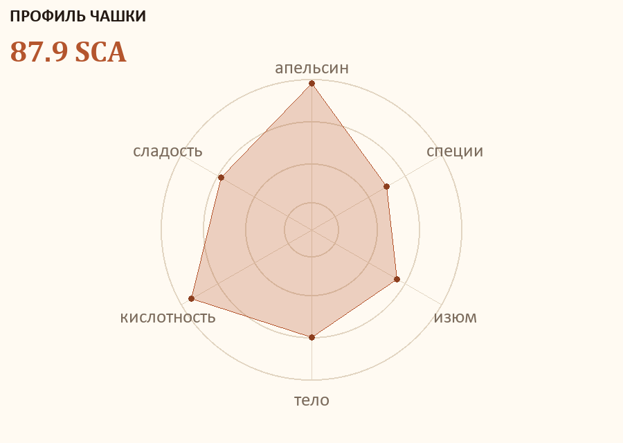 Профиль чашки