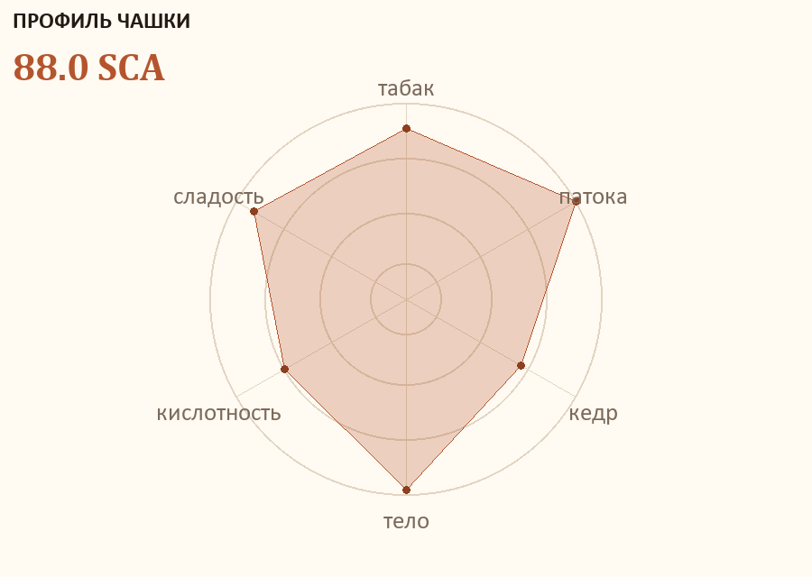 Профиль чашки