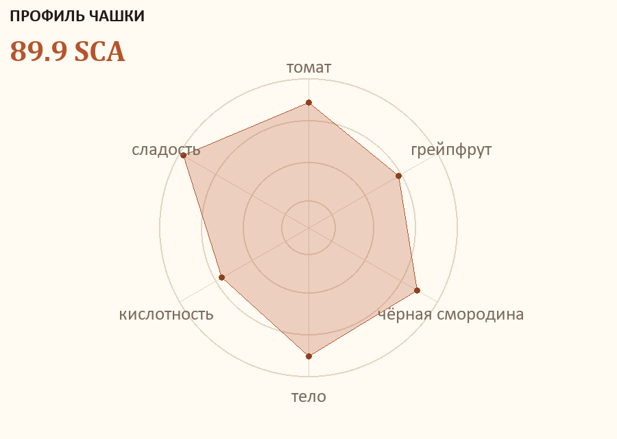 Профиль чашки