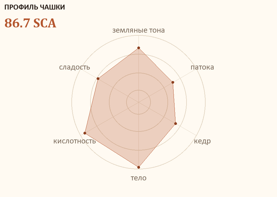 Профиль чашки