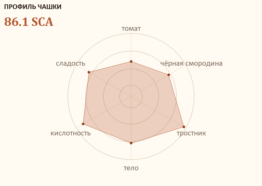 Профиль чашки